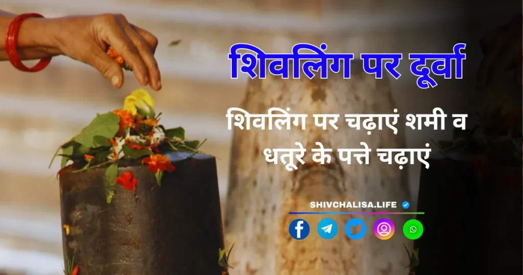 Shivling Par Durva